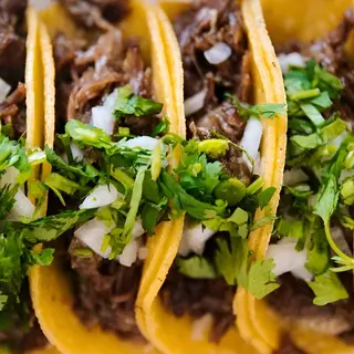 Carnita Asado Taco